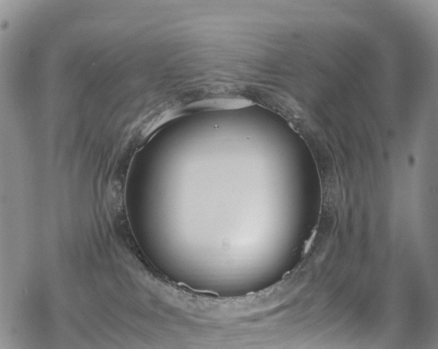 X0000069410043200605192315