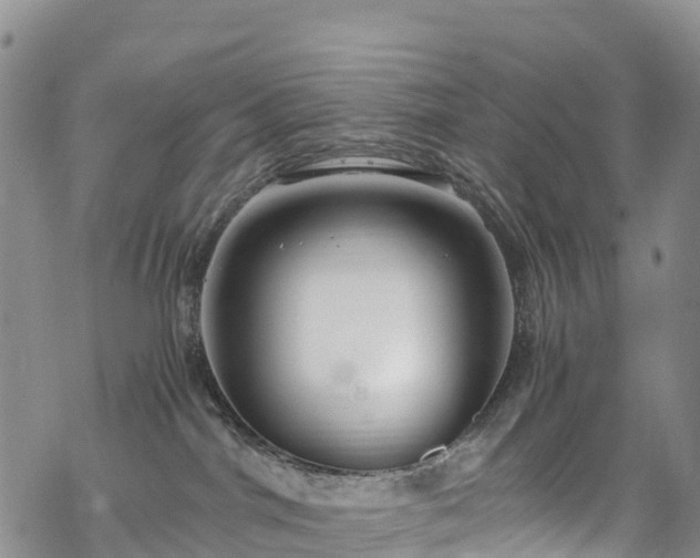 X0000069410044200605192315