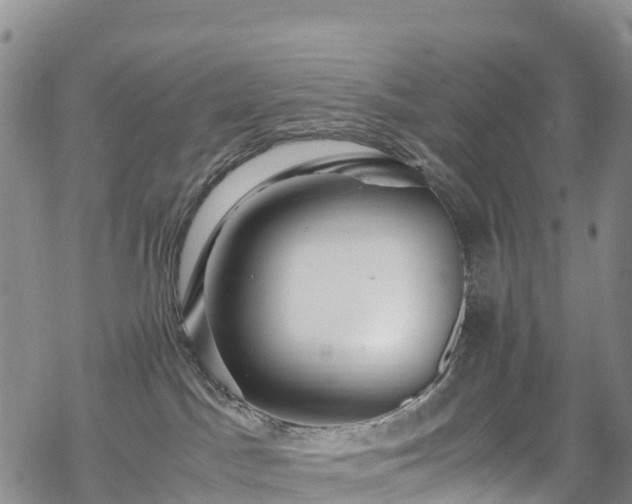 X0000069410045200605192315