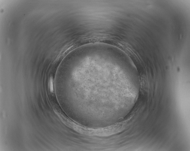 X0000069410046200605192315