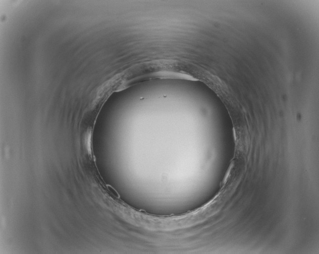 X0000069410047200605192315