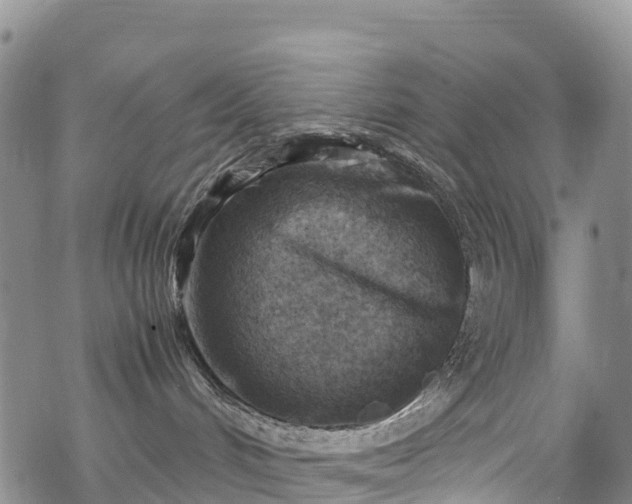 X0000069410048200605192315