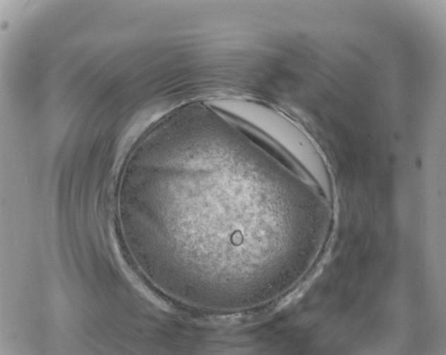 X0000069410049200605192314