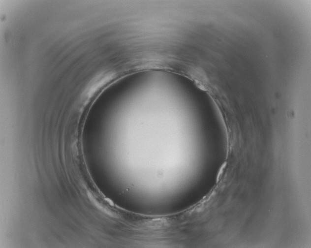 X0000069410050200605192314