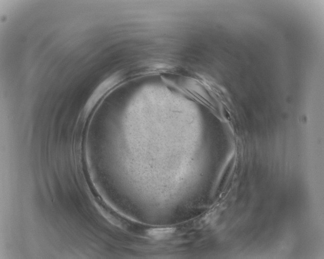 X0000069410051200605192314