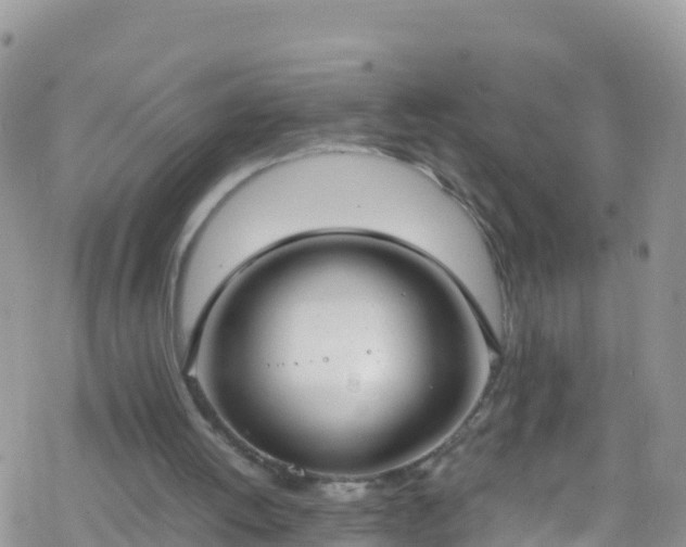 X0000069410052200605192314