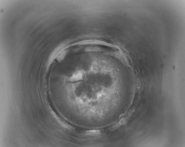 X0000069410053200605192314