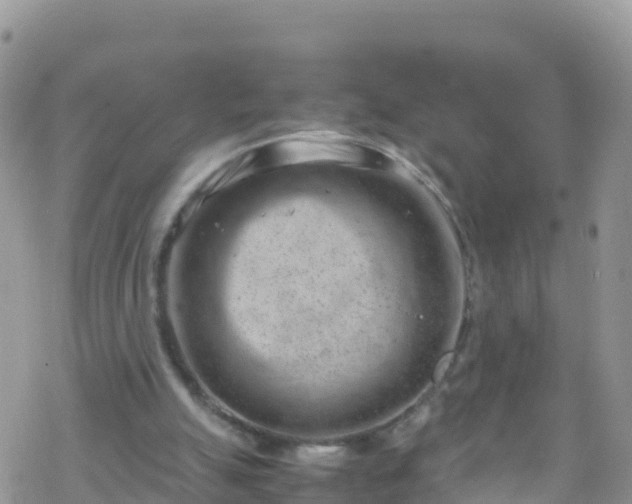 X0000069410055200605192314