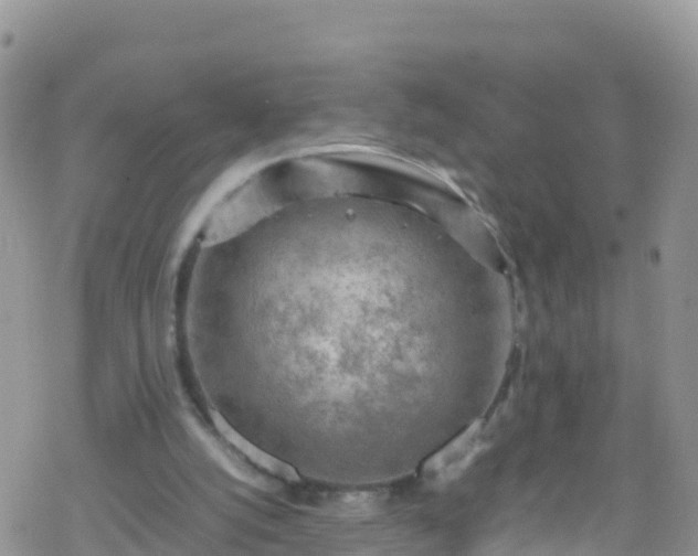 X0000069410056200605192314