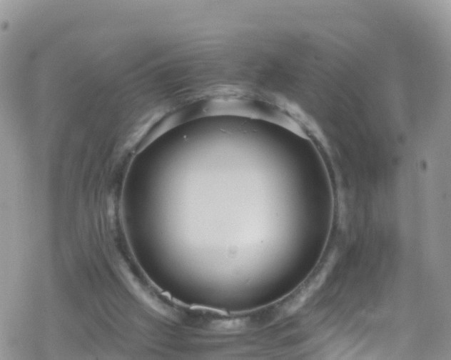 X0000069410057200605192314