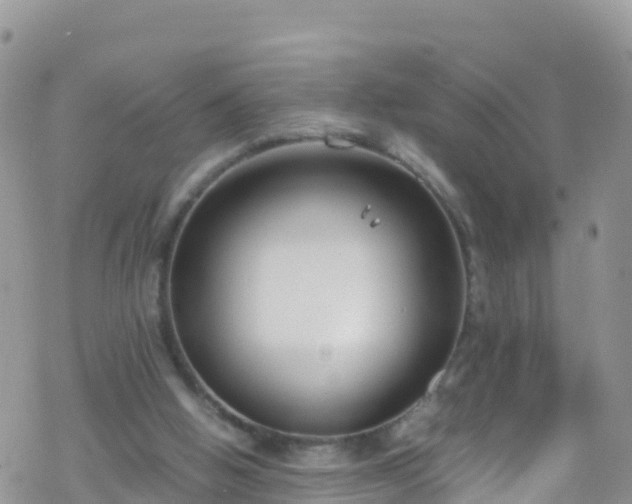 X0000069410058200605192314