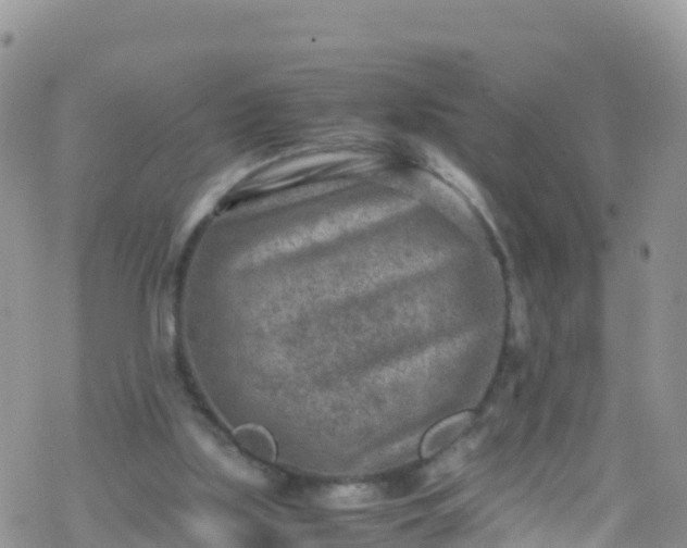 X0000069410059200605192314