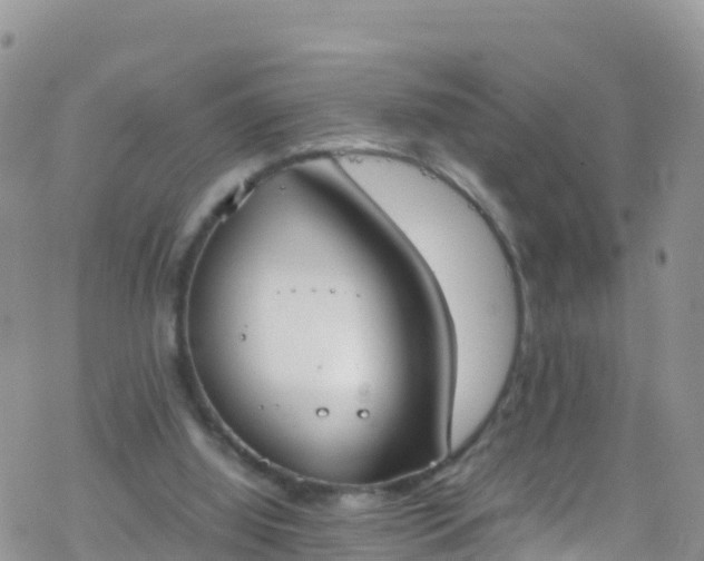 X0000069410060200605192314