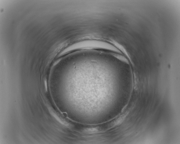 X0000069410061200605192314