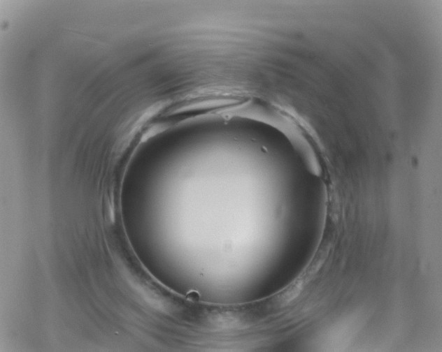 X0000069410062200605192314