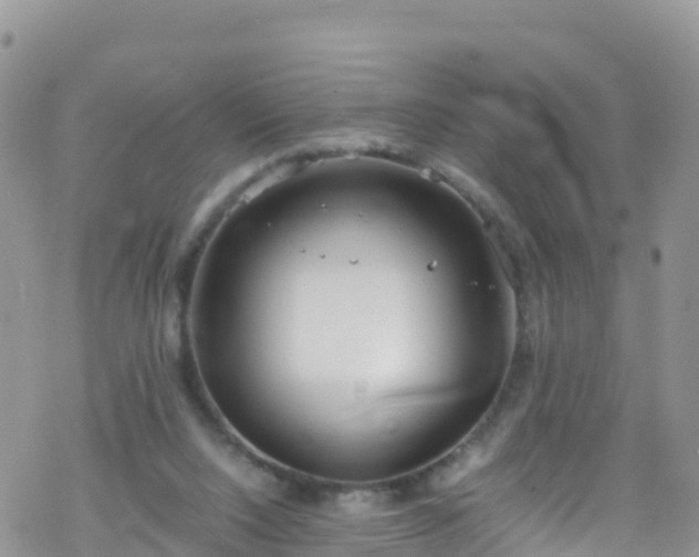 X0000069410064200605192314