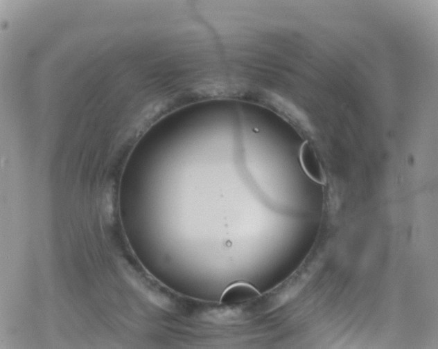 X0000069410065200605192314