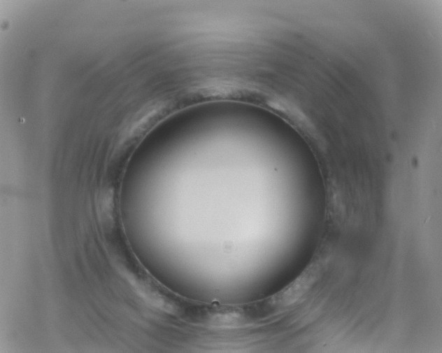 X0000069410066200605192314