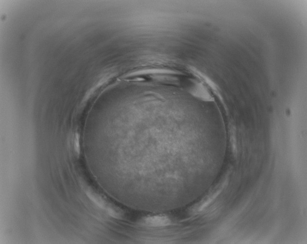 X0000069410067200605192314