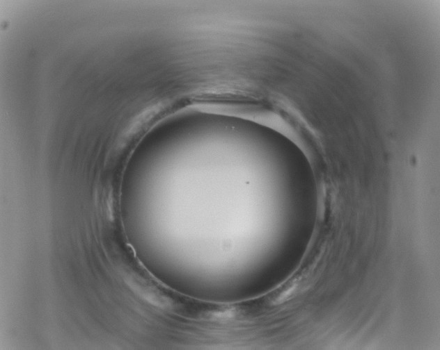 X0000069410068200605192314