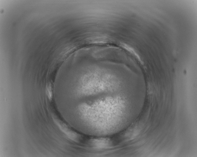 X0000069410069200605192314