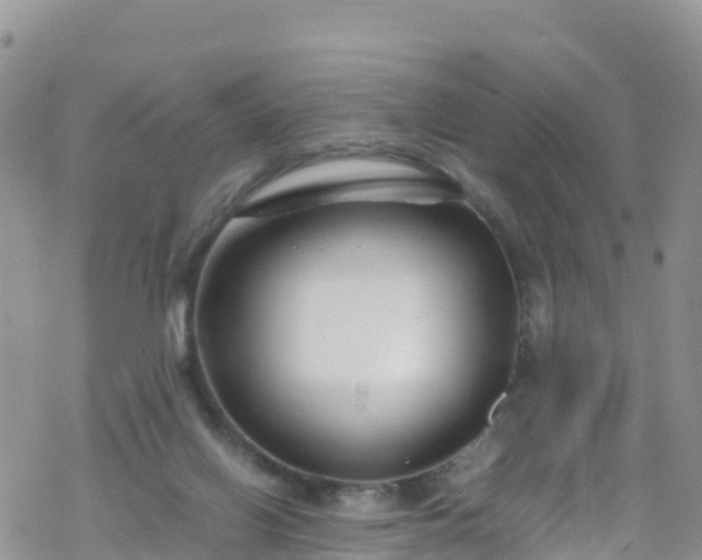 X0000069410070200605192314