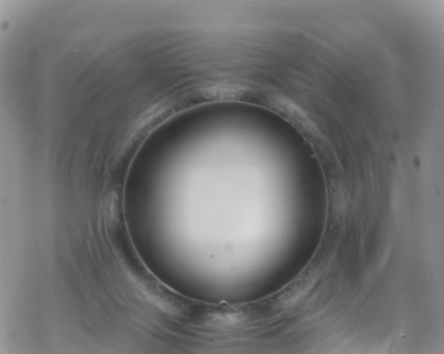 X0000069410071200605192314