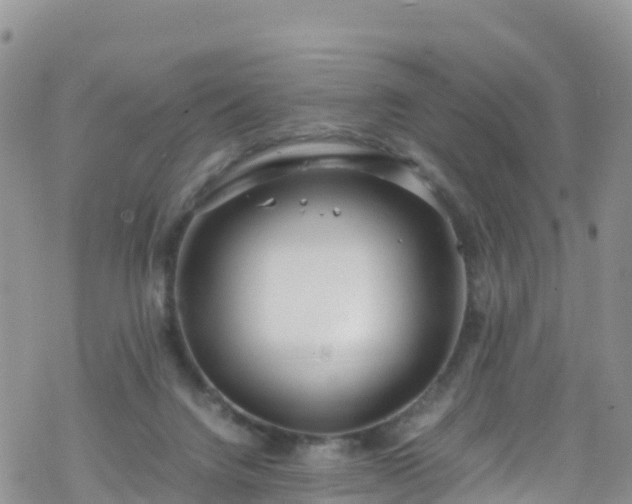 X0000069410072200605192314