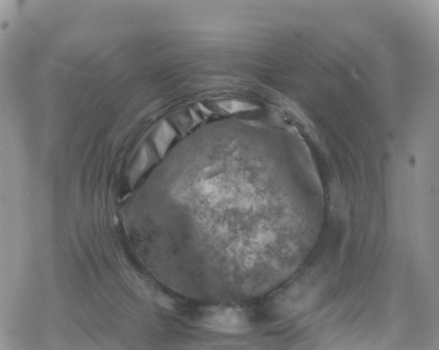 X0000069410073200605192314