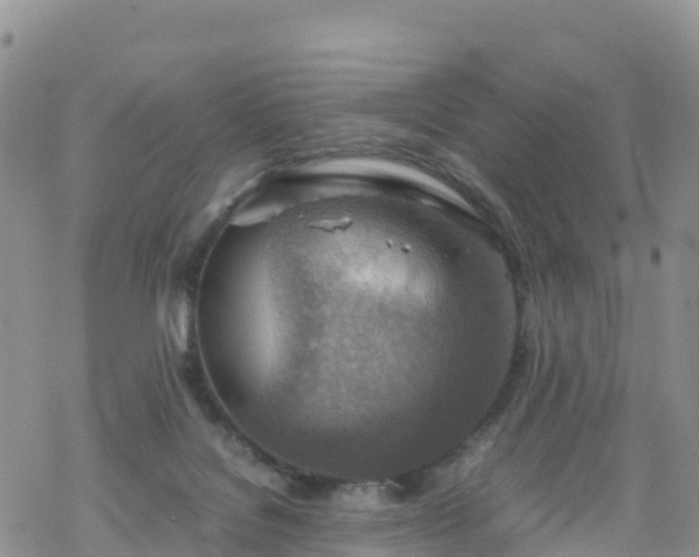 X0000069410076200605192314