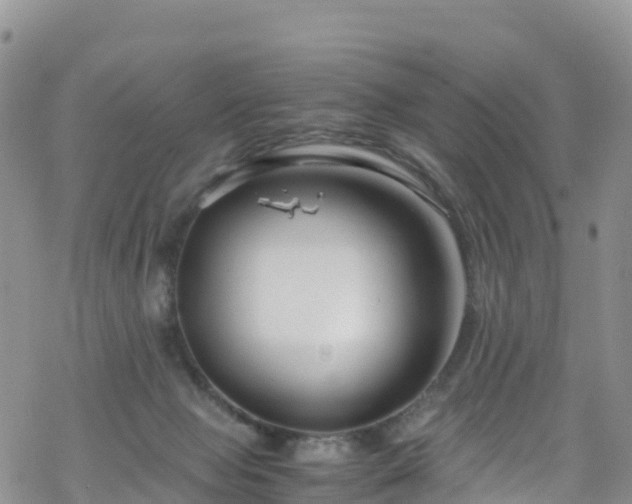 X0000069410077200605192314