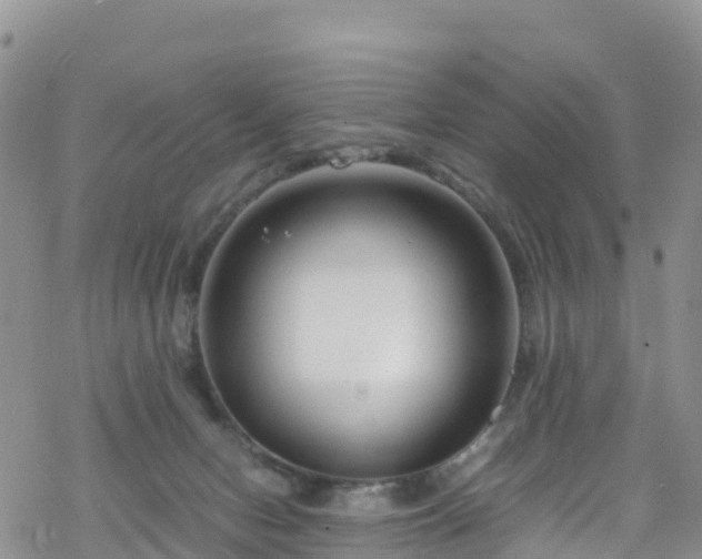 X0000069410078200605192314