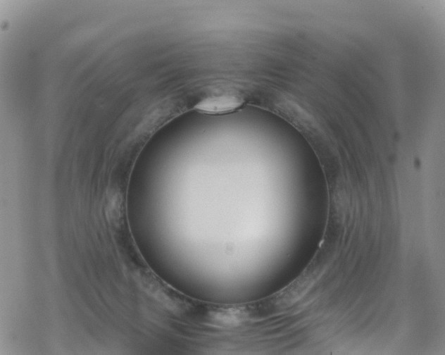 X0000069410079200605192314