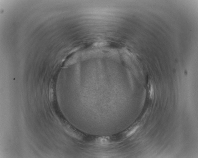 X0000069410080200605192314