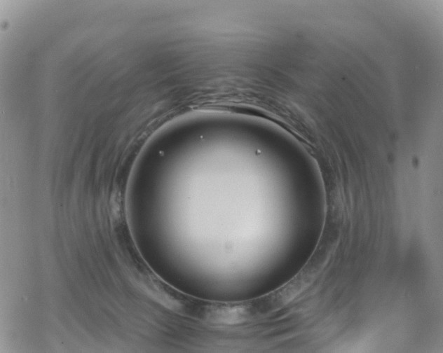 X0000069410081200605192314