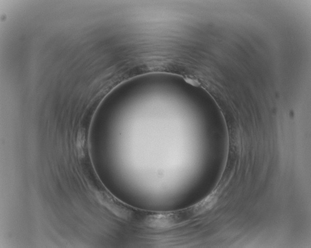 X0000069410082200605192314