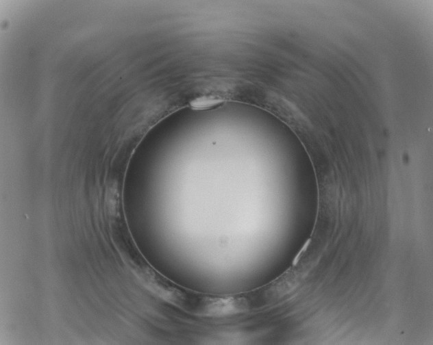 X0000069410083200605192314