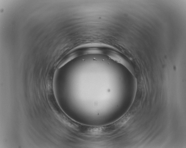 X0000069410084200605192314