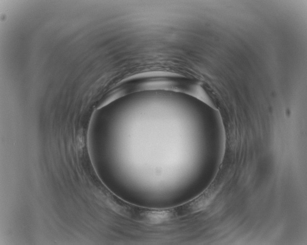 X0000069410085200605192314