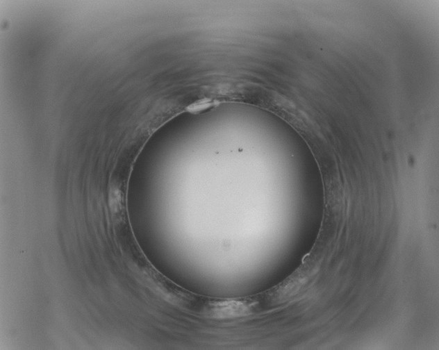 X0000069410087200605192314