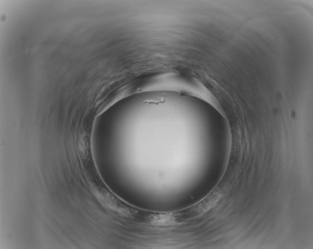 X0000069410088200605192314