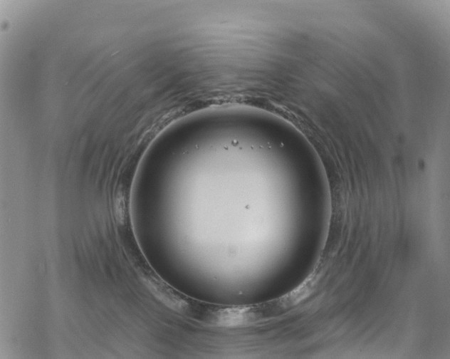 X0000069410090200605192315