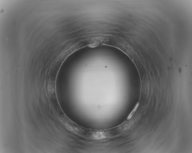 X0000069410091200605192315