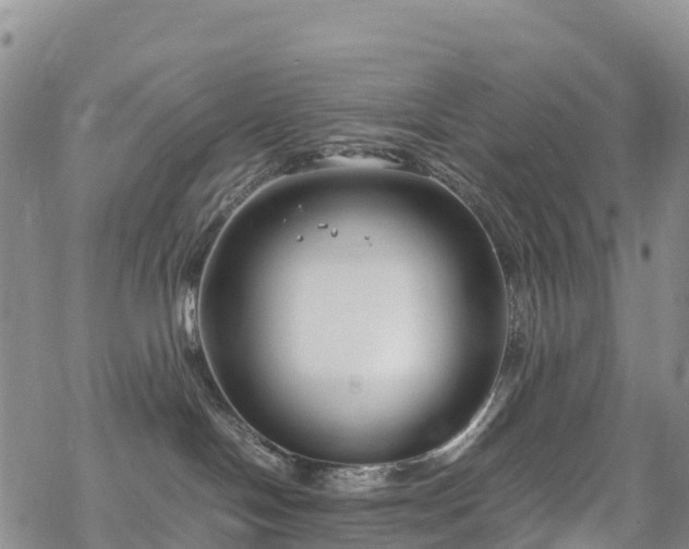 X0000069410094200605192315