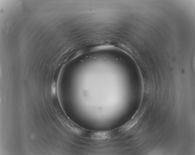 X0000069410095200605192315