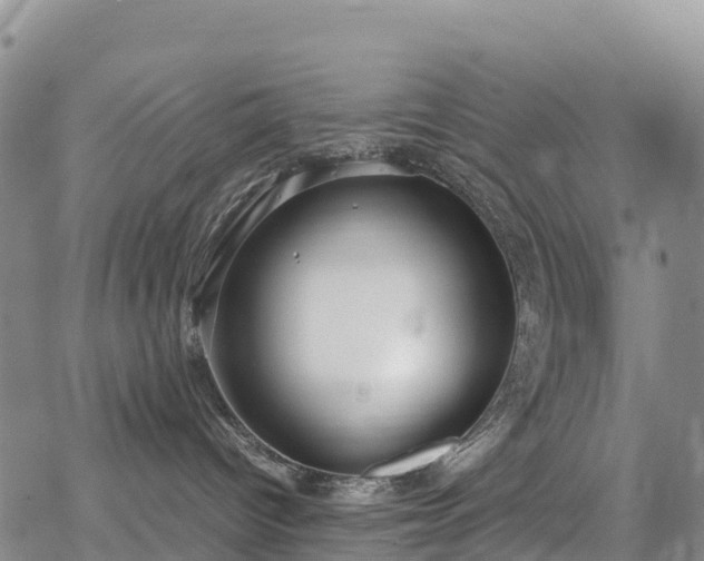 X0000069410096200605192315