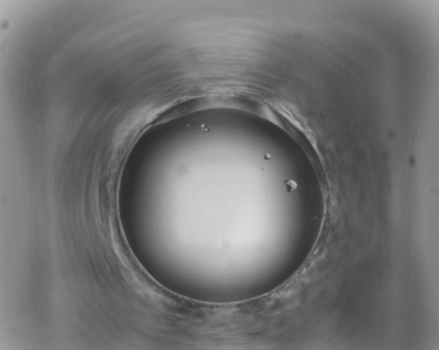 X0000069410097200605192314