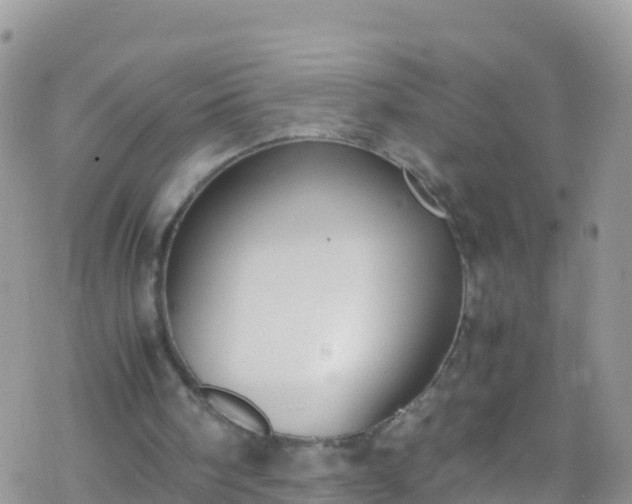 X0000069410098200605192314