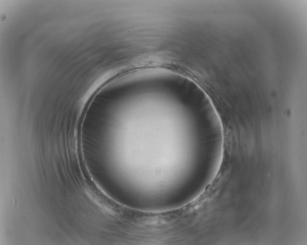 X0000069410100200605192314