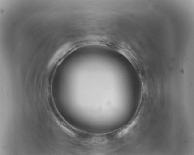 X0000069410101200605192314